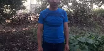 Damadın babası taburcu oldu, düğün magandaları tutuklandı