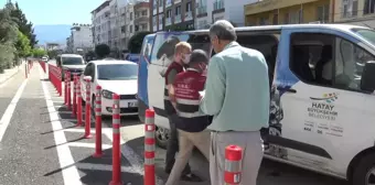 Hatay Büyükşehir Belediyesi'nin Evde Bakım Hizmetleri Sürüyor