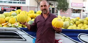 Çorum'un meşhur '10 dilim kavunu' tezgahlarda yerini aldı