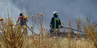 Son dakika haberi | Örtü yangınında arı kovanları ve ağaçlar küle döndü