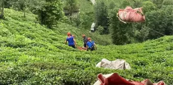 Afyon gündem haberi | ÇAY HASADINDA, TELEFERİK SEPETİNİN ÇARPMASIYLA YARALANDI