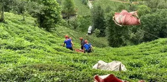 Rize haberleri... Rize'de ilkel teleferiğin çarptığı kişi yaralandı