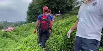 Yük taşımada kullanılan ilkel teleferiğin çarptığı kişi yaralandı