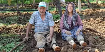 Yaşlı çift çalışma azmiyle örnek oluyor