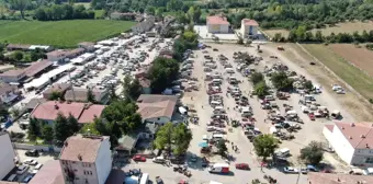 Kastamonu haber! Dünyaca ünlü Taşköprü sarımsağında kıyasıya pazarlıklar yaşanıyor