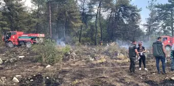 Balıkesir'de yangın mı çıktı? 23 Ağustos Salı Balıkesir Karesi ve Balya'da nerede yangın çıktı, yangında hasar oluştu mu, yangın söndürüldü mü?