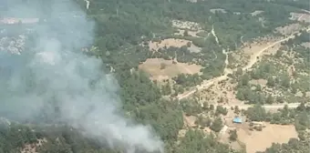 Balıkesir haber! BALIKESİR'DEKİ ÇİFTE ORMAN YANGINI SÖNDÜRÜLDÜ