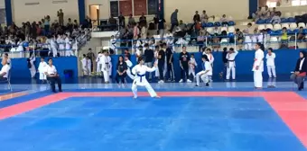 Çocuk evlerinde kalan çocuklar karate turnuvasından başarıyla döndü