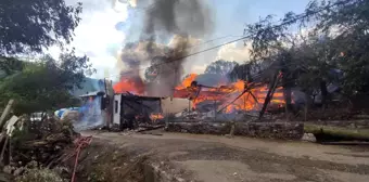 Kastamonu 3. sayfa haberleri | Kastamonu'daki yangında 10 ev küle döndü... Vatandaşlar evlerinin yanışını çaresizlikle izlediler