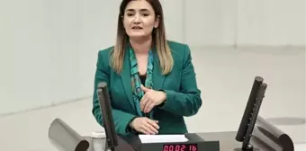 Sevda Erdan Kılıç, Sedat Peker'in İddiaları İçin Araştırma Önergesi Verdi