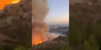 Son dakika haberi... Mersin Antalya Karayolu Yangın Nedeniyle Ulaşıma Kapatıldı