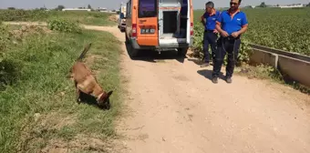 Şanlıurfa haberi: Şanlıurfa'da kaybolan çocuğu arama çalışmaları sürüyor