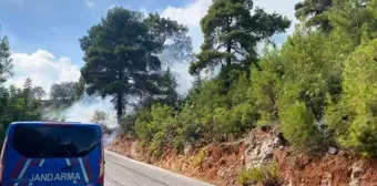 Son dakika haberleri... Alanya'da orman yangını