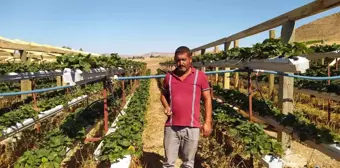 Üretime kat attı, bir dikti üç aldı