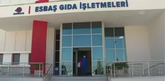 ESBAŞ Gıda Üretim Fabrikası'nda yemek kültürün anlatan sergi alanı kuruldu