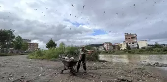 Hayatını aç hayvanları doyurmaya adadı