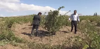 Dolu ve selden zarar gören köylerde hasar tespit çalışması