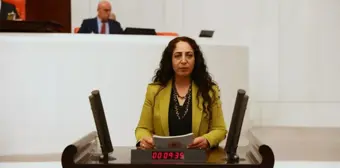 Son dakika haber | Hdp'li Işık'tan Bakan Kirişci'ye: 'Van'da Tüm İlçelerde ve Mahallelerde Halk Ekmek Dağıtımı Ne Zaman Yapılacaktır?'