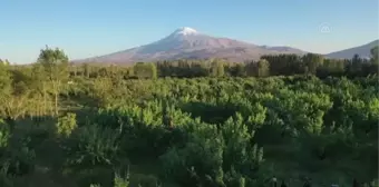 Doğa kampı yapan ilkokul öğrencileri 'çevreye duyarlı' büyüyor