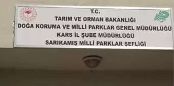 Son dakika haberleri! Çocukların yaralı bulduğu kerkenez tedaviye alındı