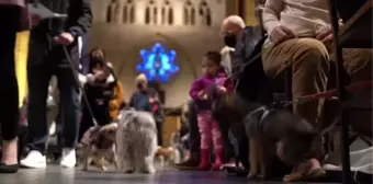 Evcil hayvan sahipleri Manhattan'daki 'Blessing of the Animals' etkinliğine katıldı