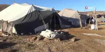 Muş haberi... Muş'taki göçerler sıcak bölgelere göç etmeye başladı