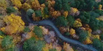 Kaz Dağları nerede, hangi şehirde? Kaz Dağları'na nasıl gidilir?