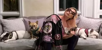 Lady Gaga... KÖPEKLERİNİ KAÇIRAN SALDIRGANA HAPİS CEZASI!..