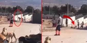 Konya'da köpeğe kürekle işkence eden 2 cani, tahliye edildi