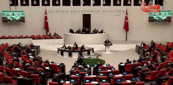 İyi Parti'nin 'Çocuklarda Görülen Nadir Hastalık İlaçlarına Erişimde Karşılaşılan Sorunların Araştırılması'Yla İlgili Önerisi, AKP ve MHP'li Vekiller...