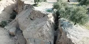 Deprem sonrasında hayrete düşüren görüntüler! Hatay'da zeytin bahçesinde sarsıntılar sonrasında dev yarıklar oluştu