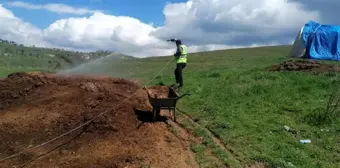 Gölbaşı Belediyesi larva ile mücadele ediyor