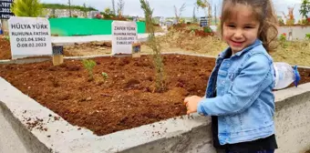 Adana'da buruk bayram: Depremde ölenlerin kabirlerine şeker bıraktılar