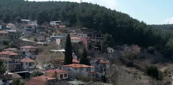 Asırlık camiye ve ormanlarına gözü gibi bakıyorlar