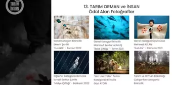 13. Tarım Orman ve İnsan Fotoğraf Yarışması'nda sonuçlar belli oldu