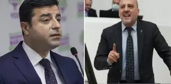 Ahmet Şık'ın Selahattin Demirtaş ve HDP için söyledikleri, ittifakı karıştırdı! Hemen özür diledi