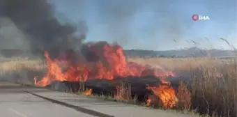 Van'da sazlık yangınları devam ediyor