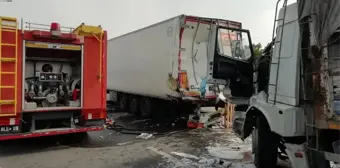 Denizli'de yavru köpek için yola atlayan yaya tır çarpması sonucu hayatını kaybetti