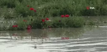 Muş'ta sel felaketinin yaraları sarılıyor