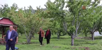 Devlet Desteği ile Meyve Bahçesi Kurdu