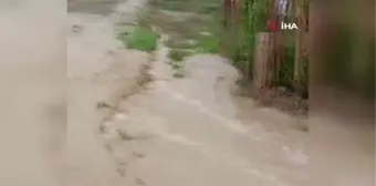 Gürpınar'da sağanak yağmur etkili oldu