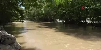 Arapgir'in cümbüşlü klarnetli tarzanı, yaz sezonunu açtı