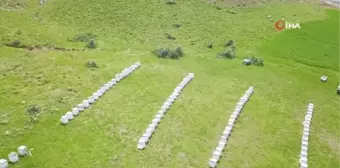 Bitlis Balı Dünya Birincisi Oldu