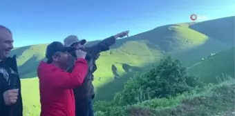 İkizdere Dağ Horozu Festivali'nde çekirge kamışçını fotoğraflandı