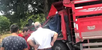 Mersin'de Meyve Yüklü Kamyonet Kaza Yaptı: 1 Ölü, 6 Yaralı