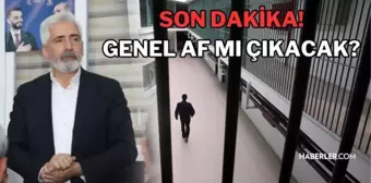 Genel af ne zaman çıkacak? Genel af kimleri kapsar? Genel af mı çıkıyor son dakika! Genel af kesinleşti mi? Genel af 29 ekim! Genel af çıkacak mı?