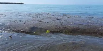 Doğu Karadeniz'de sağanaklarla birlikte derelere sürüklenen çöpler Karadeniz kıyılarını kirletiyor