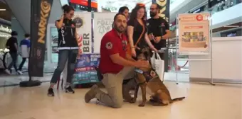 Narkotik köpeği 'Kongar' ilgi odağı oldu