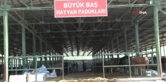 Eskişehir'deki kurban satıcıları zorluklarla mücadele ediyor