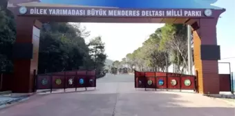 Aydın'da 'Arı Kovanı' Operasyonu: 5 Kamu Görevlisi Gözaltına Alındı